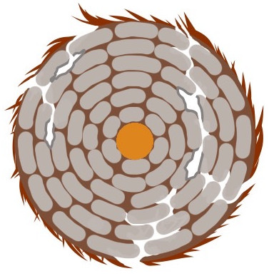 ダメージ毛のダメージホール