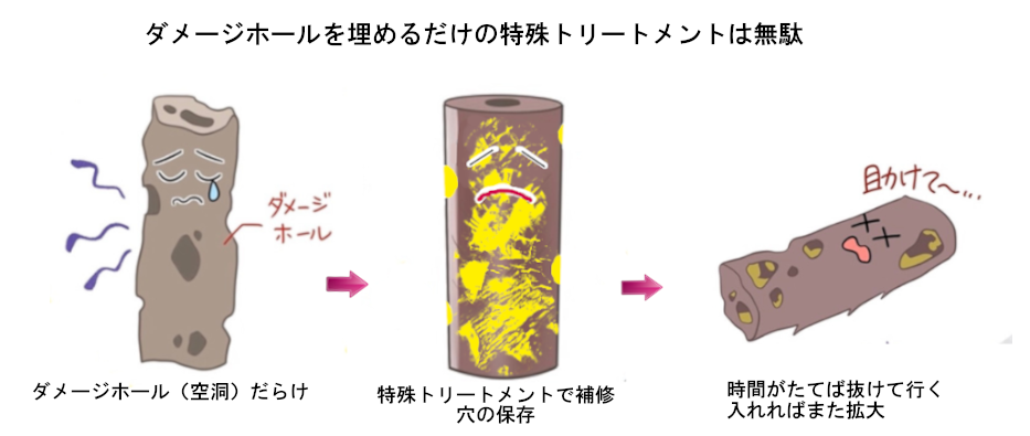 ダメージホールは特殊トリートメントでは直らない