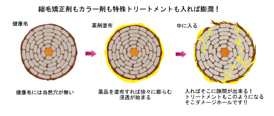 ダメージ毛のダメージホールと特殊トリートメント