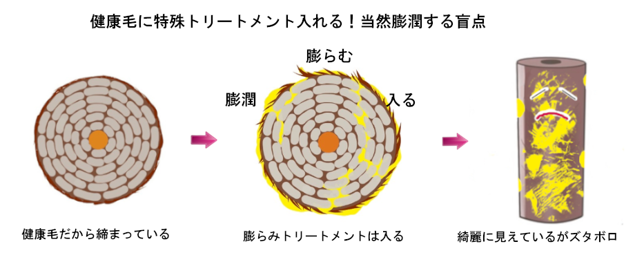 ダメージホールと特殊トリートメント解説エンパ®（艶派）